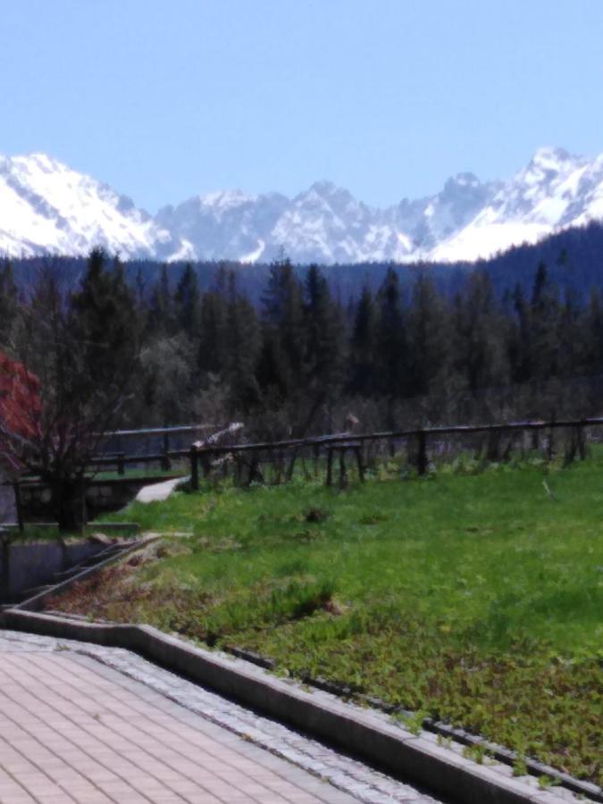 Willa Marysienka Bed & Breakfast Zakopane Luaran gambar