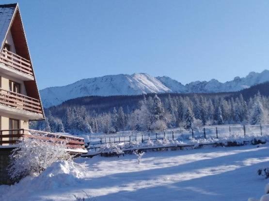 Willa Marysienka Bed & Breakfast Zakopane Luaran gambar